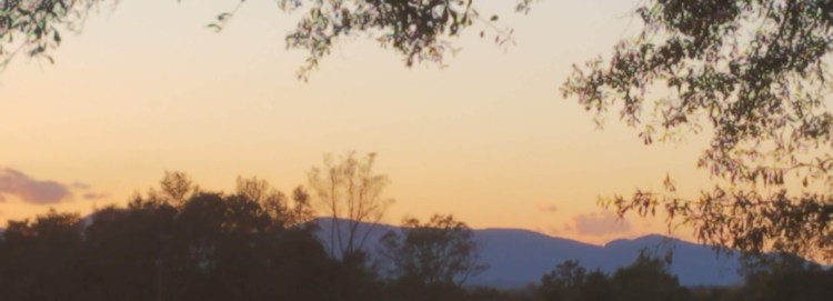 Mountain View From Tryon Cottage